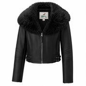 BFL Monterra Premium Fur Collar  Jacket