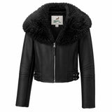 BFL Monterra Premium Fur Collar  Jacket